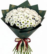 Букет цветов из:  Хризантемы #REPLACE_PRED# Шушенском