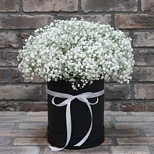 Цветочная композиция из Гипсофила в шляпной коробке в Шушенском